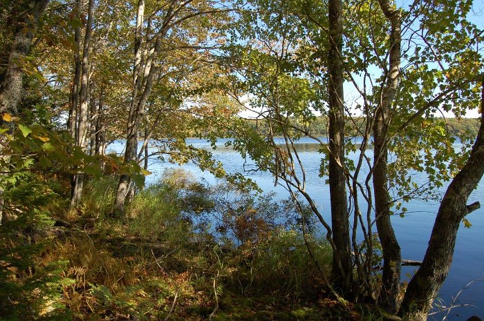 DSC_0037 - Wentworth Lake - Immobilie in Kanada